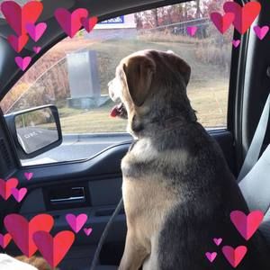 Meet your Posher, Paula